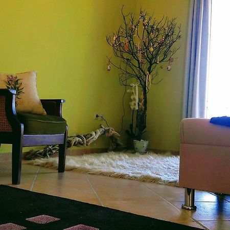 Ermina'S Gaze Apartment Agioi Deka  Екстериор снимка